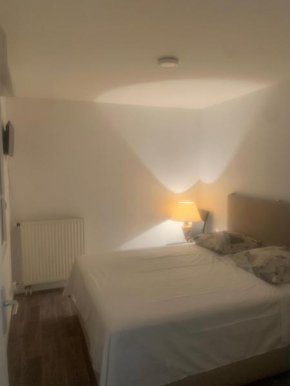 Belle chambre privée dans un appartement à Nogent sur Marne